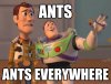 ants.jpg
